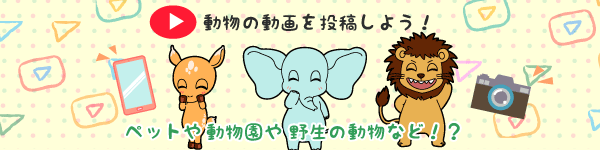 動物の動画を募集中!